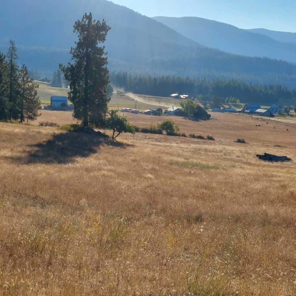 Picture of the property, showing a field of grasses and other plants browned by summer sun. In the background tall, tree covered hills rise.